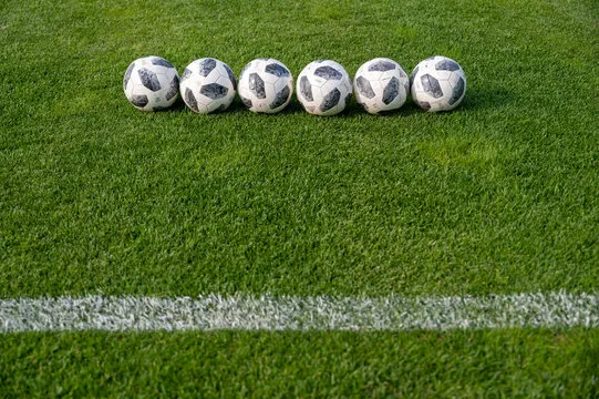 kaiyun体育应用预览